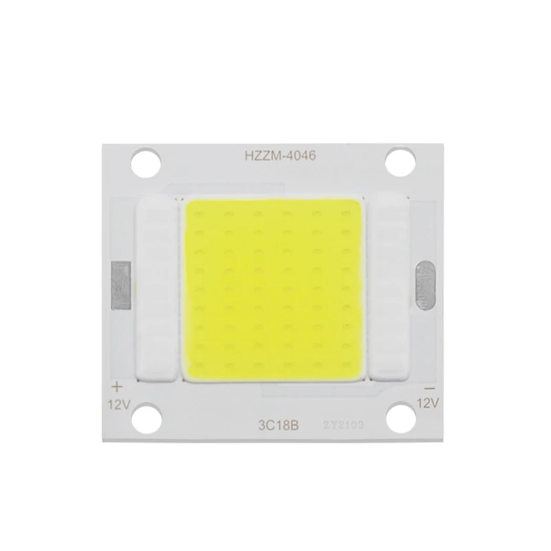12 Volt 20 Watt LED Chip